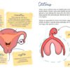 La menstruación es genial... Si sabes cómo funciona - Image 4