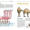 La vida amorosa de los animales - Image 3